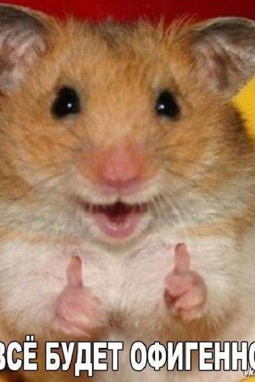 Интим доска Проституток СПб | У пани терезы в гостях 8-981-860-44-84